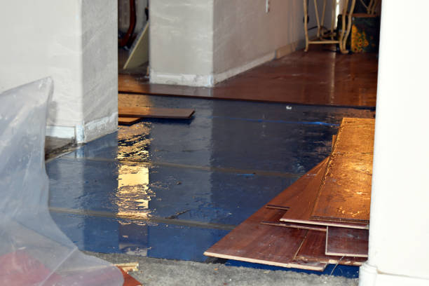 Professional Burst Pipe Cleanup technician working in Harwood, MD